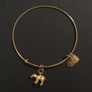 Alex and ani bear bangle